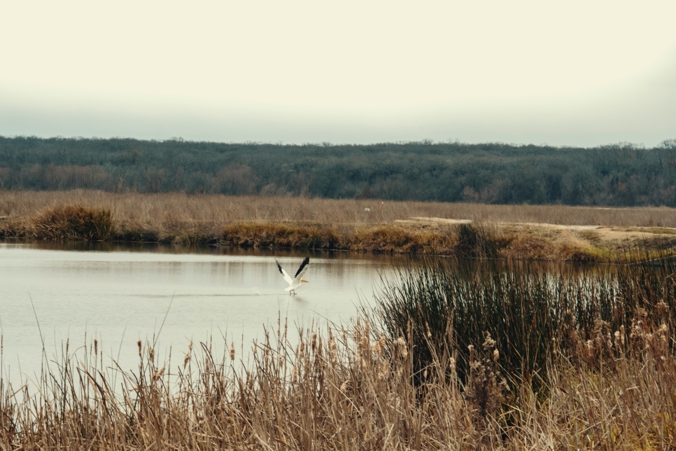 Landscape Photography at the Wetland Centre (Oct)